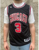 Vintage μπασκετική φανέλα Chicago Bulls L