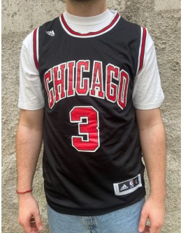 Vintage μπασκετική φανέλα Chicago Bulls L